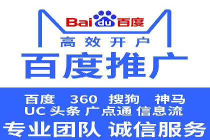 SEM公司案例研究：数据驱动营销策略